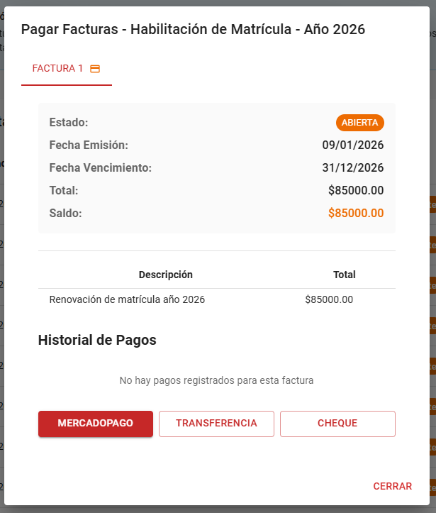 Pagar facturas (tabs)